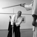 OK-IMG_6707