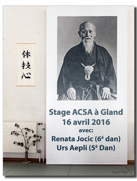 2016_0416-Stage_ACSA-01.jpg